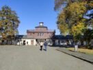 Buchenwald