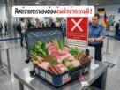 ของห้ามนำเข้าเยอรมัน ศุลกากรเยอรมัน